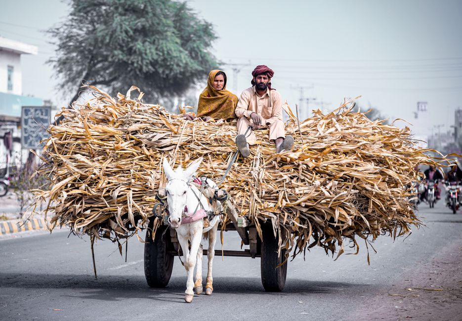 Sialkot Pakistan area