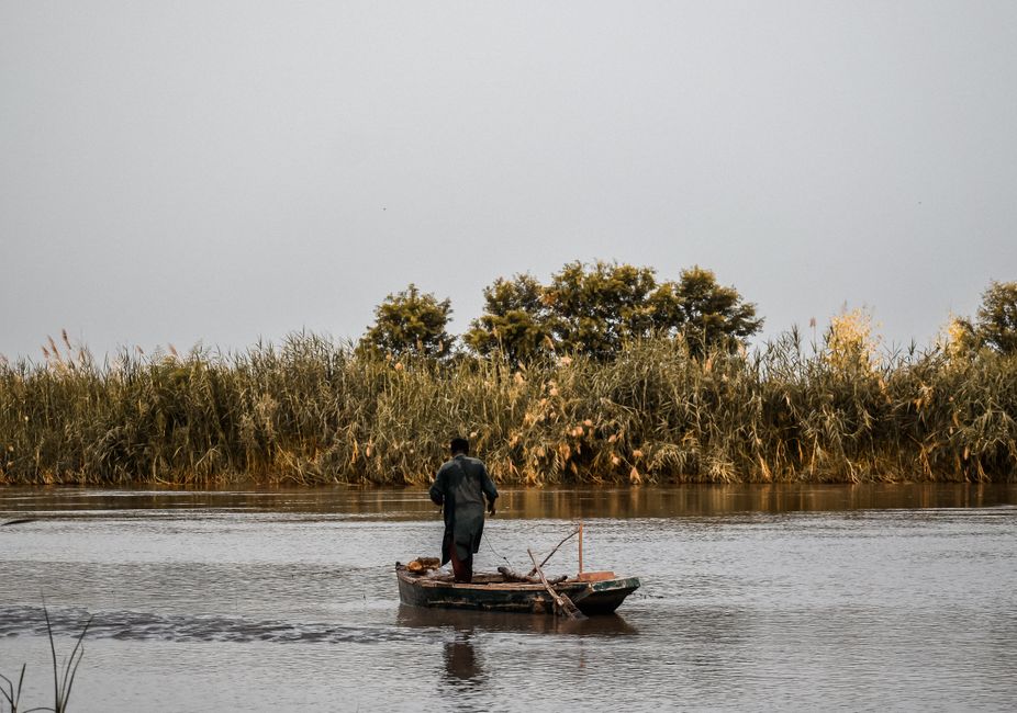 Sindh landscape